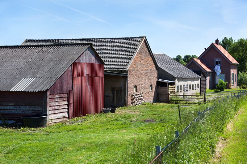 Na inbreng onderneming in bv is er geen keuzevermogen